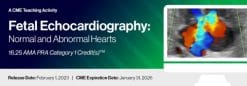 2023 Fetal Echocardiography Normal and Abnormal Hearts