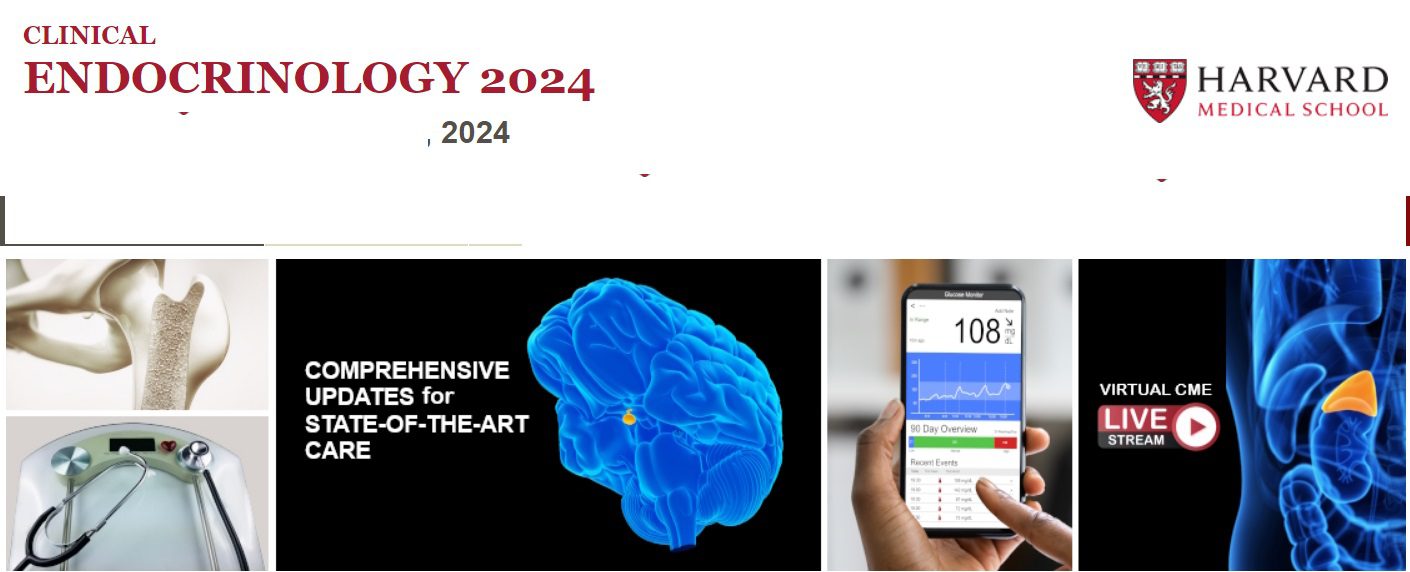 Harvard Clinical Endocrinology 2024